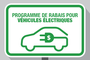 Electric Vehicle Incentive Program