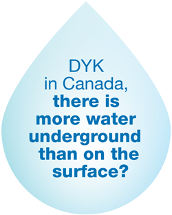 A tap that drips once per second can waste 10,000 litres of water in one year.